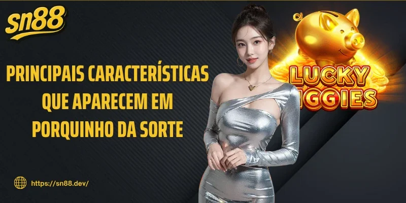 Principais características que aparecem em Porquinho da sorte